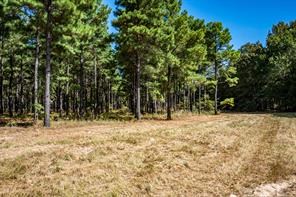 000 County Road 35400 - Photo 23