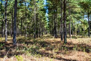 000 County Road 35400 - Photo 24