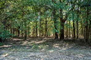 000 County Road 35400 - Photo 25