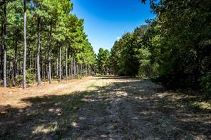 000 County Road 35400 - Photo 26