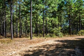 000 County Road 35400 - Photo 27