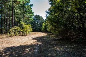 000 County Road 35400 - Photo 28