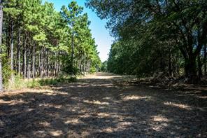000 County Road 35400 - Photo 30