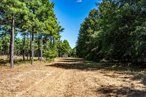 000 County Road 35400 - Photo 31