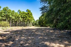 000 County Road 35400 - Photo 32