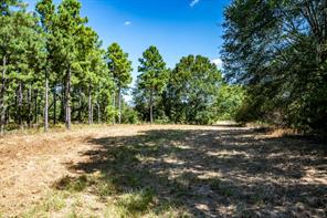000 County Road 35400 - Photo 33