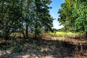 000 County Road 35400 - Photo 36