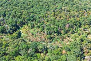 000 County Road 35400 - Photo 5