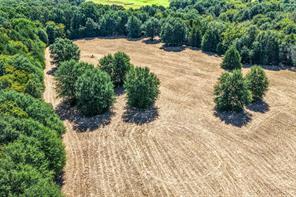 000 County Road 35400 - Photo 9