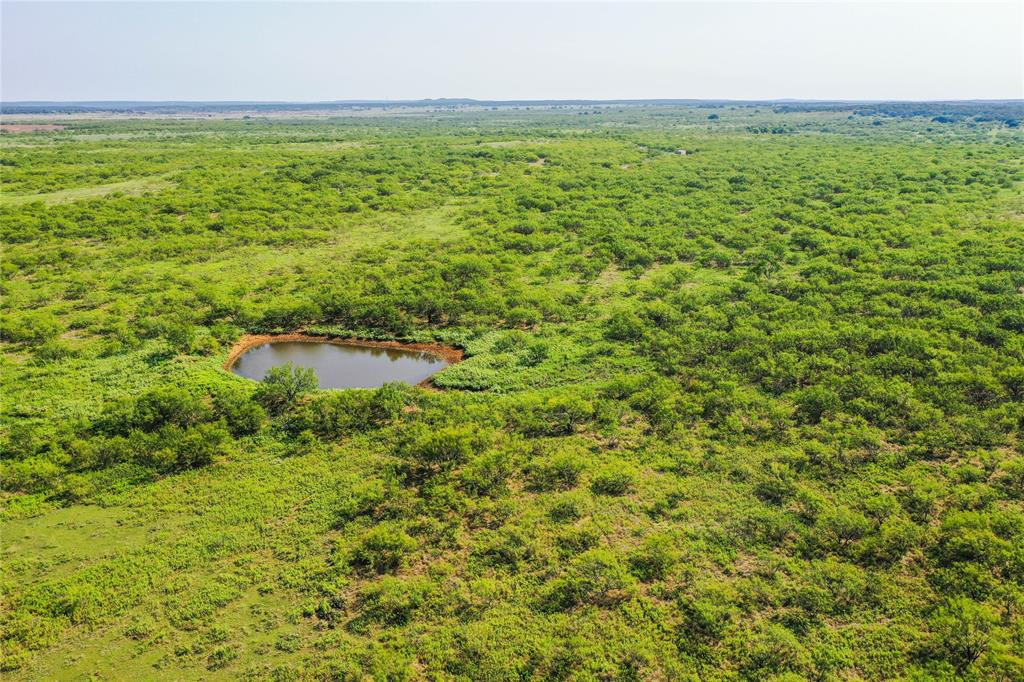 262.71 Acres FM 1191 - Photo 1