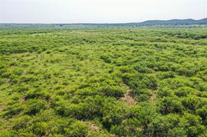 262.71 Acres FM 1191 - Photo 11