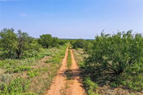262.71 Acres FM 1191 - Photo 13