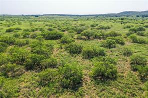 262.71 Acres FM 1191 - Photo 25