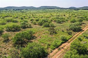 262.71 Acres FM 1191 - Photo 26