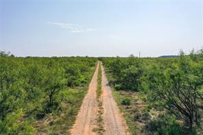 262.71 Acres FM 1191 - Photo 3