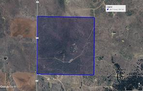 262.71 Acres FM 1191 - Photo 32