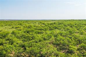 262.71 Acres FM 1191 - Photo 4