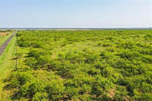 262.71 Acres FM 1191 - Photo 5