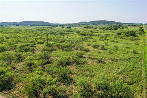 262.71 Acres FM 1191 - Photo 6