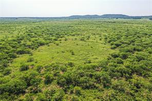 262.71 Acres FM 1191 - Photo 9
