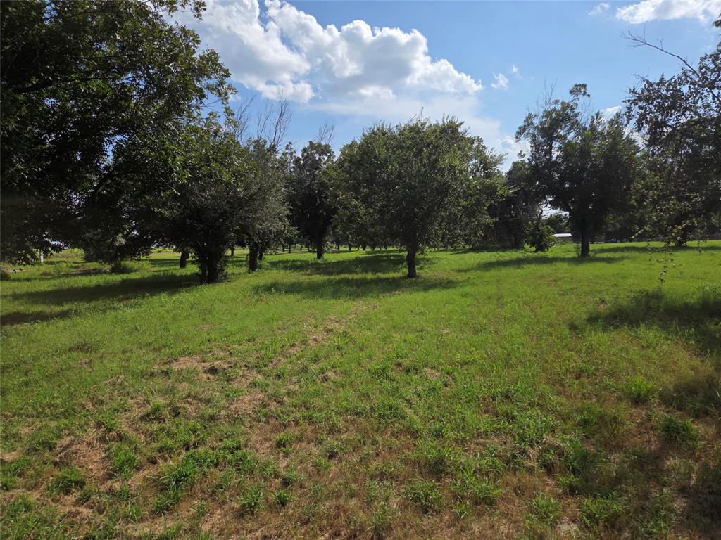 10005 Orchards Boulevard - Photo 11