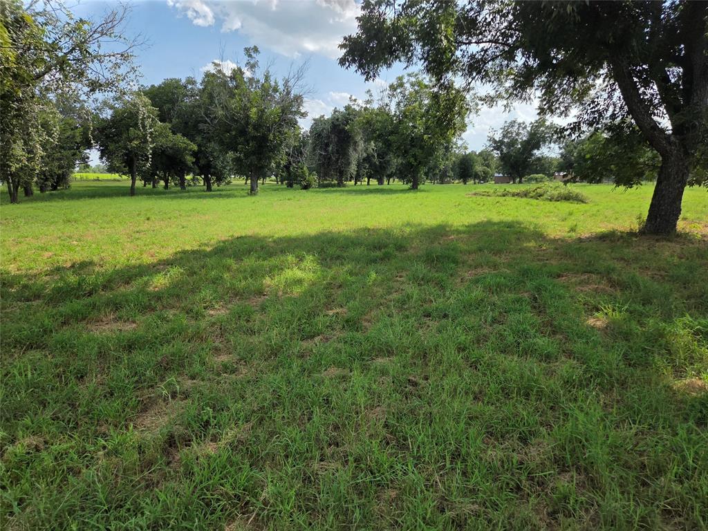 10005 Orchards Boulevard - Photo 2
