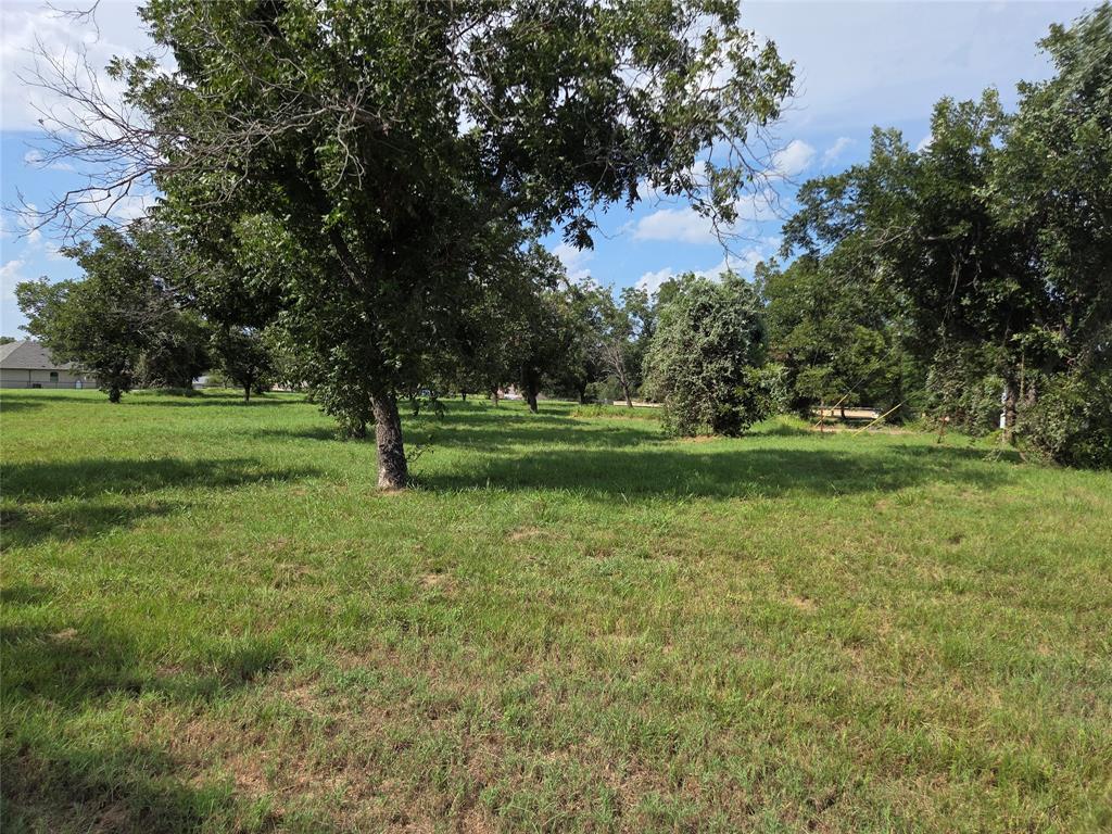 10005 Orchards Boulevard - Photo 8