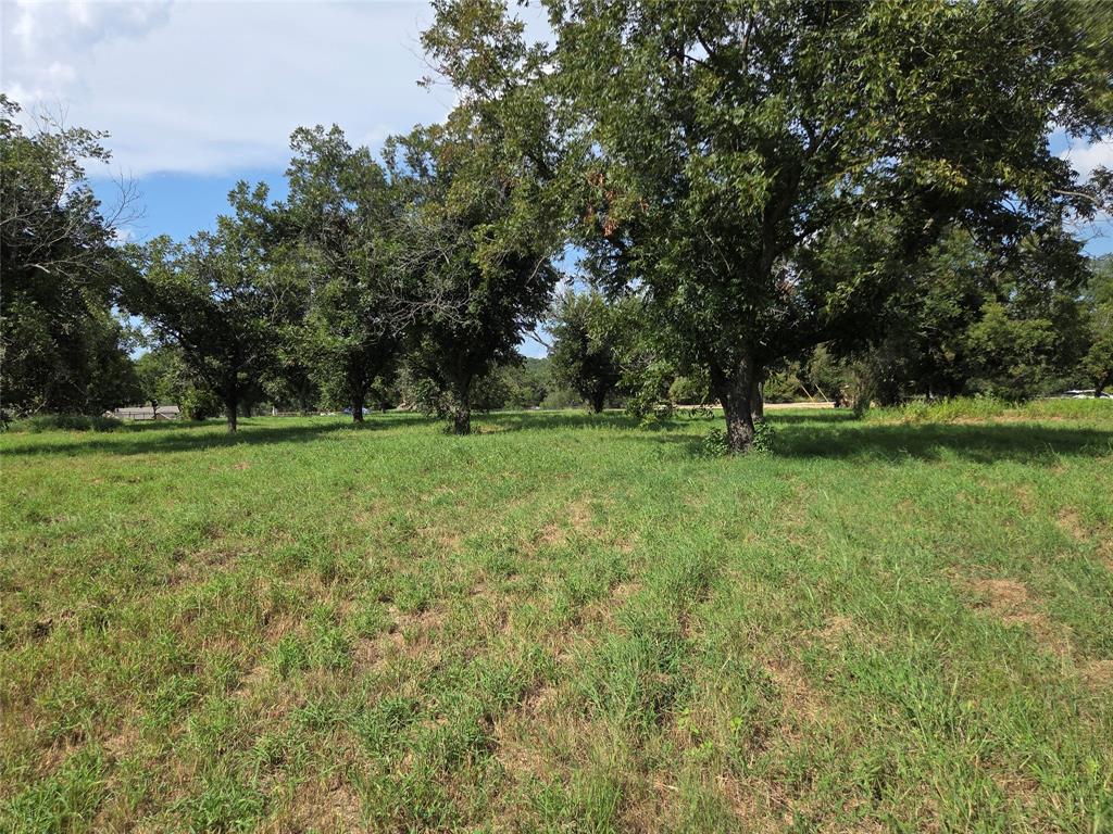 10005 Orchards Boulevard - Photo 9