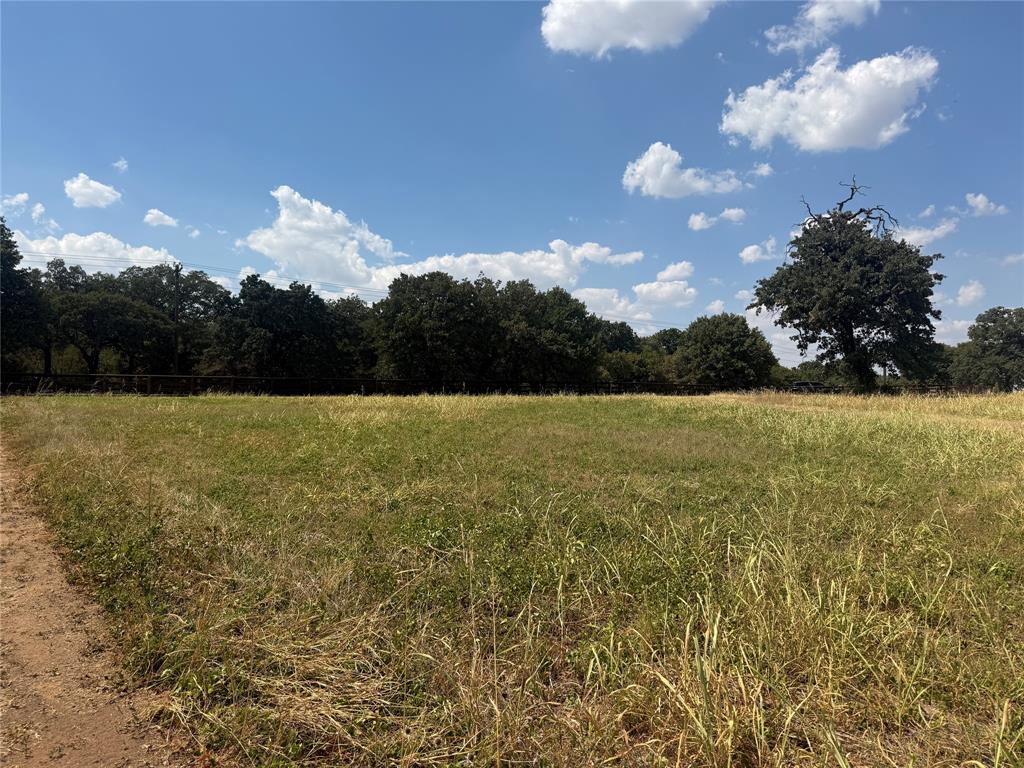 831 Porter Road - Photo 7