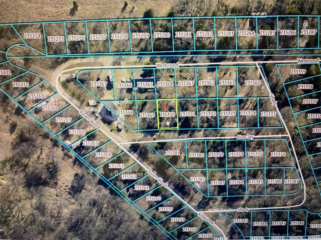 Lot 175 Blue Jay Lane - Photo 1
