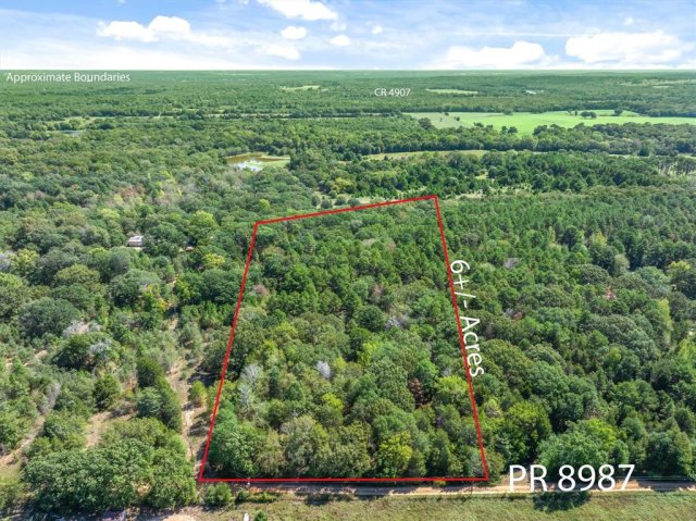 TBD County Road 8987