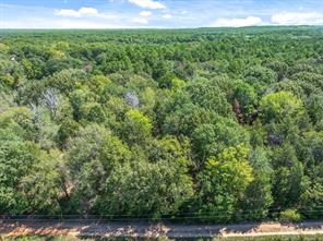 TBD County Road 8987 - Photo 10