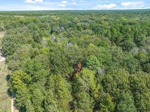 TBD County Road 8987 - Photo 11