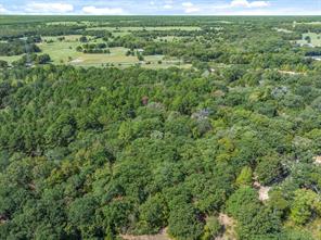 TBD County Road 8987 - Photo 12