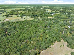 TBD County Road 8987 - Photo 14