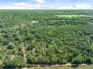 TBD County Road 8987 - Photo 2