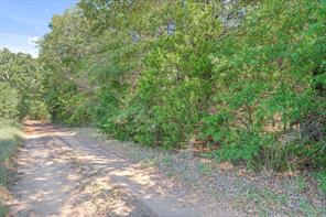 TBD County Road 8987 - Photo 5