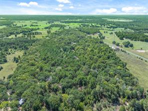 TBD County Road 8987 - Photo 7
