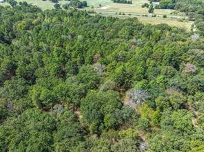 TBD County Road 8987 - Photo 8