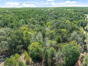 TBD County Road 8987 - Photo 9