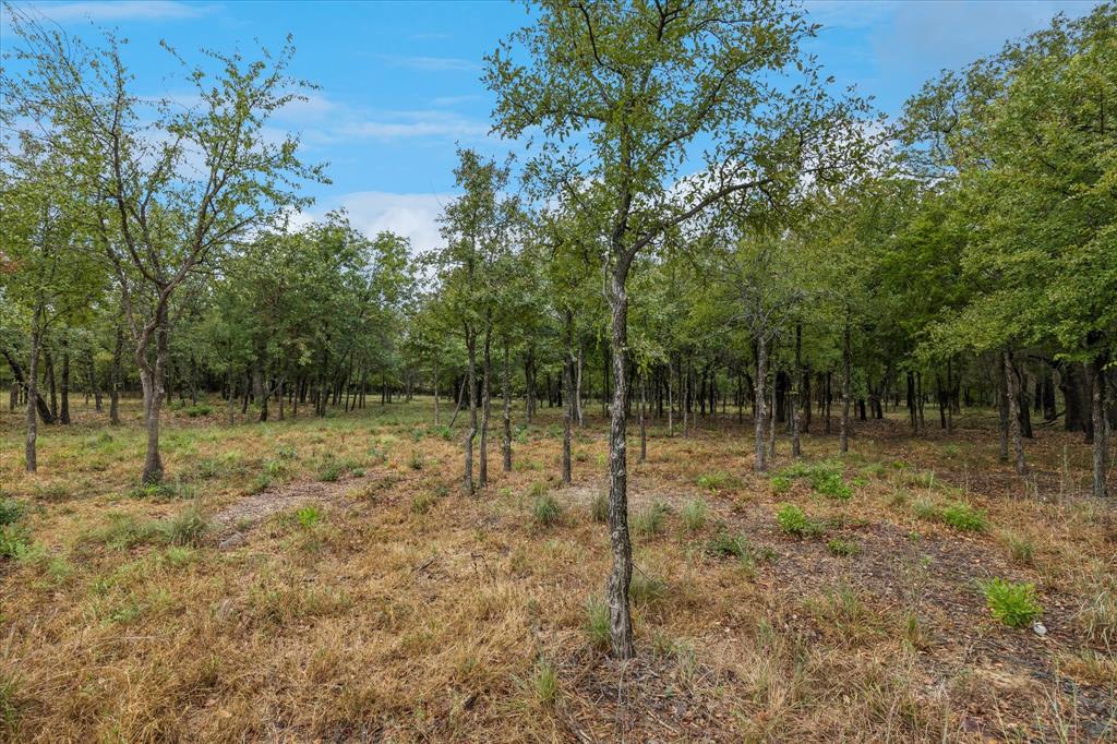 8965 Indian Knoll Trail - Photo 6