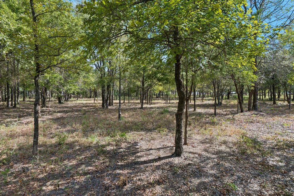 8949 Indian Knoll Trail - Photo 2