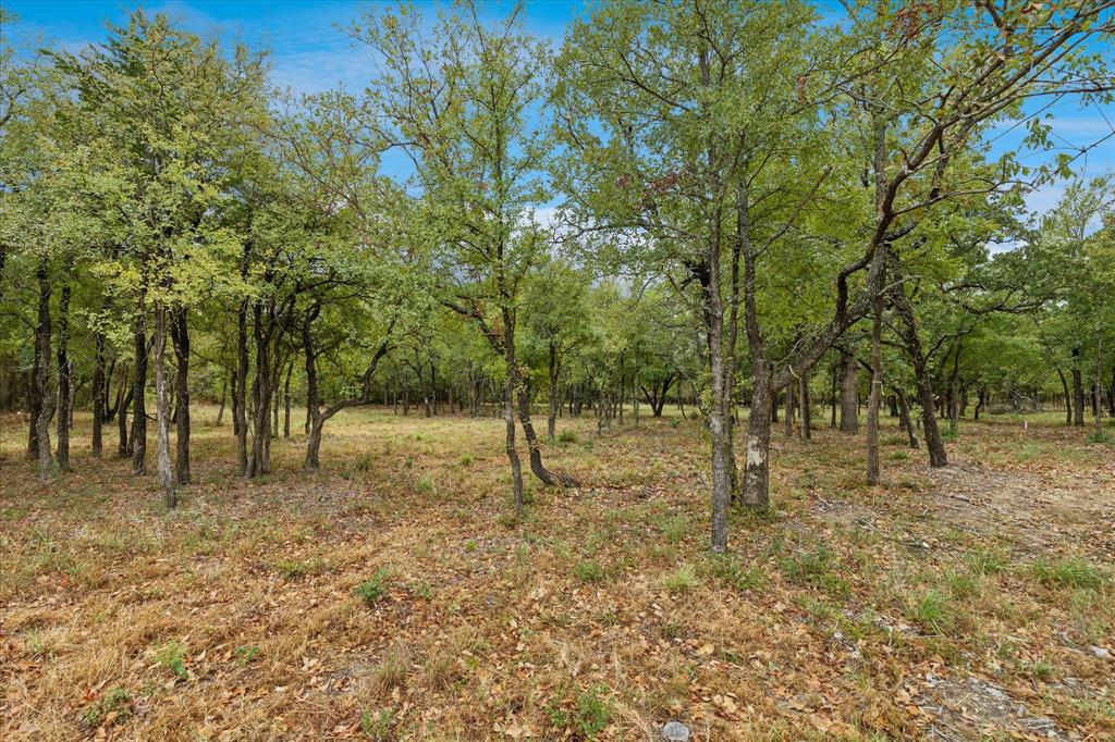 8949 Indian Knoll Trail - Photo 4