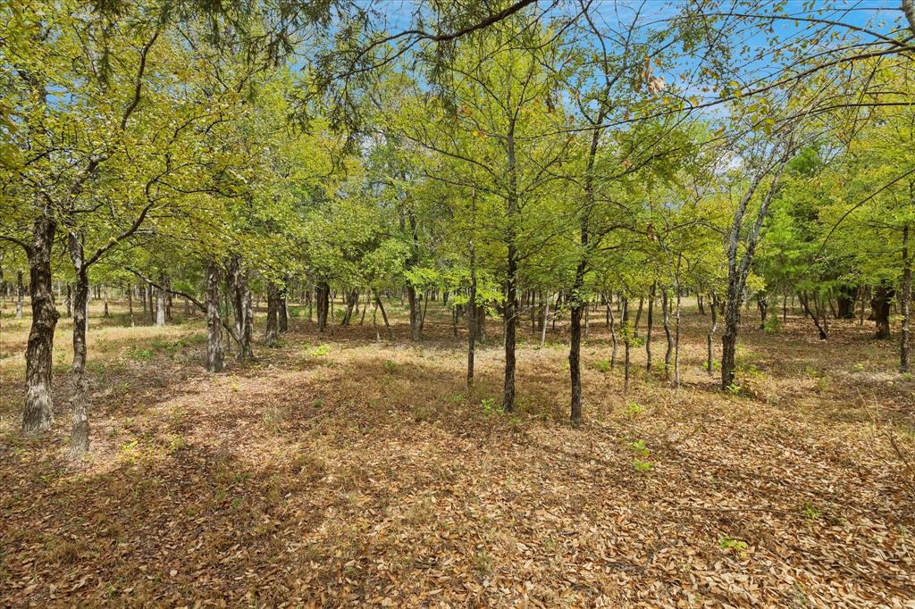 8949 Indian Knoll Trail - Photo 7