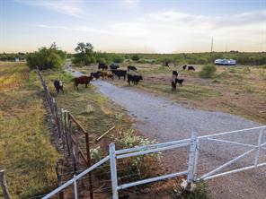 TBD Story Road - Photo 14