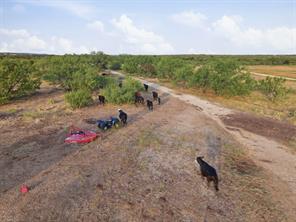 TBD Story Road - Photo 18