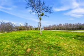 TBD Glen Ellen Road - Photo 4