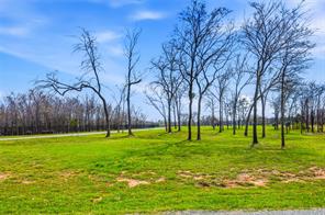 TBD Glen Ellen Road - Photo 6