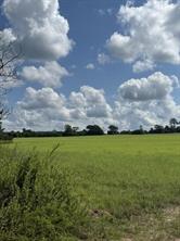 0 An Cnounty Road 1231 - Photo 4