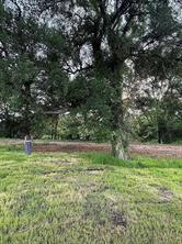 6 Sunrise Drive - Photo 8
